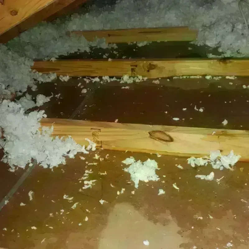 Attic Water Damage in Marion, SC