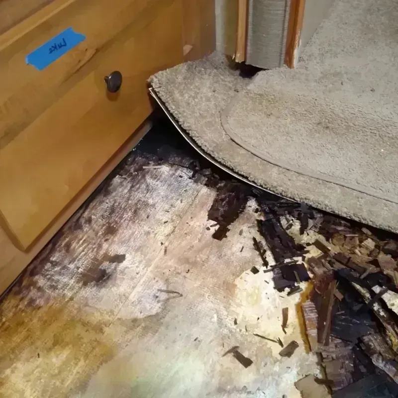 Wood Floor Water Damage in Marion, SC